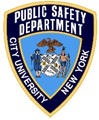 Public Safety Department badge
