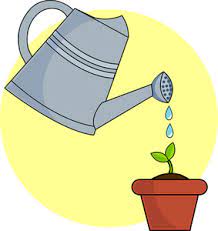 watering can watering a seedling in a pot