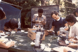 Field Work