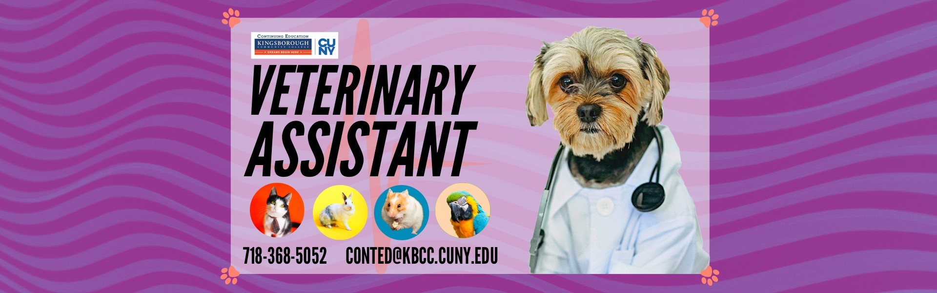 Vet Assistant