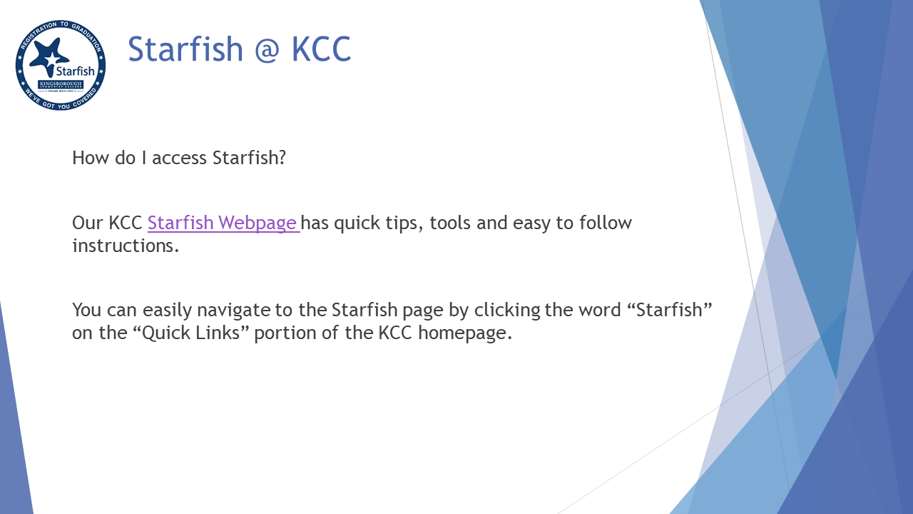 Starfish slide 4